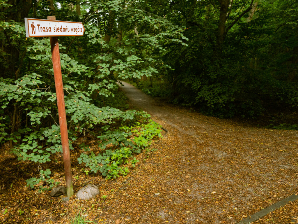 20250718-0S6A5793-fot.Lukasz.Kulczynski