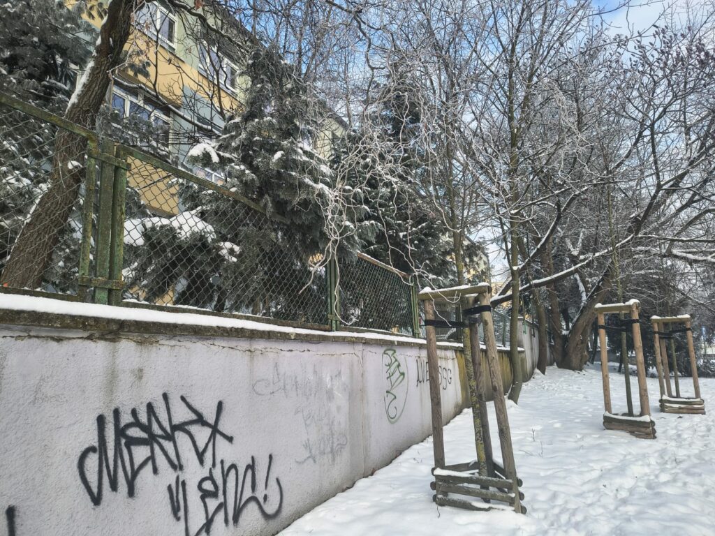 WhatsApp Image 2026-01-21 at 11.53.42